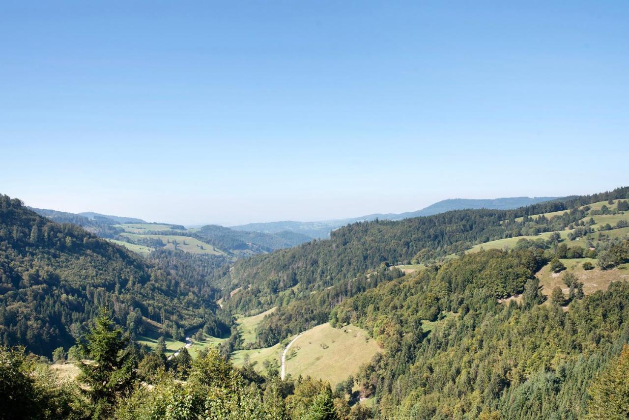 Schwarzwaldperle Apartamento Todtmoos Exterior foto